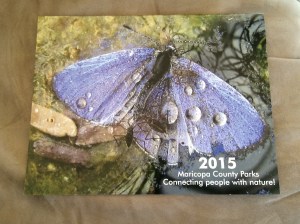 Photo Dec 11, 14 04 42