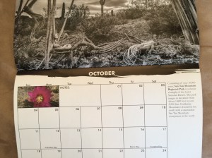 Photo Dec 11, 14 05 20